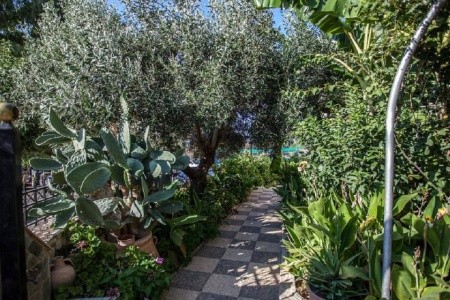 Bali Dorian Apartments - 9