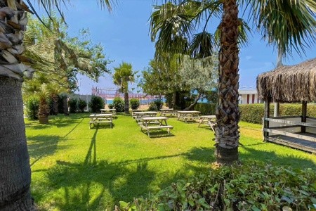 Solivia (Ex. Titan Select) - 23