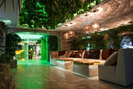 Harmony Suites 3 Jungle