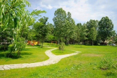 Harmony Suites 8, 9 - Dream Island - 10