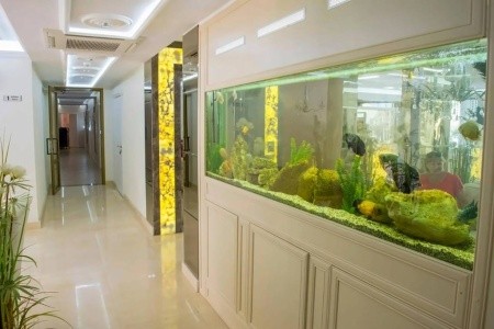 Harmony Suites 8, 9 - Dream Island - 12