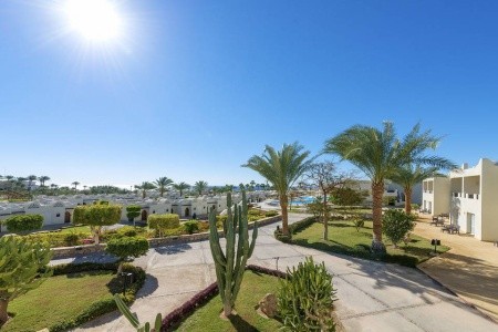 Reef Oasis Beach Resort - 19