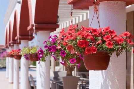 Saint George Palace - 6