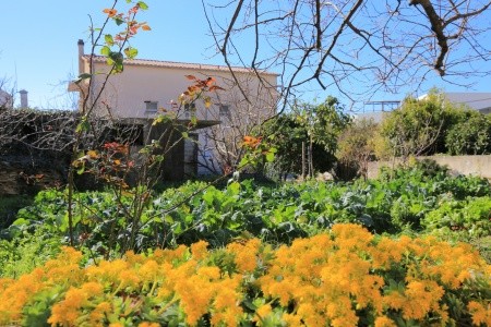 Apartmány 3298-7291 - 61