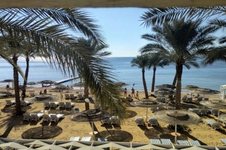 Continental Plaza Beach - 19