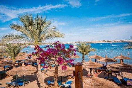 Marina Sharm Hotel - 7