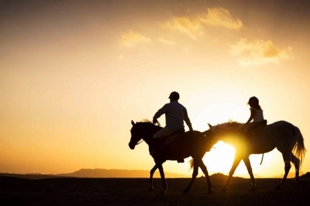 Movenpick Resort - 3