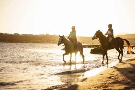 Movenpick Resort - 4