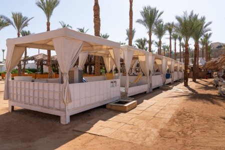 Seti Sharm Palm Beach - 2