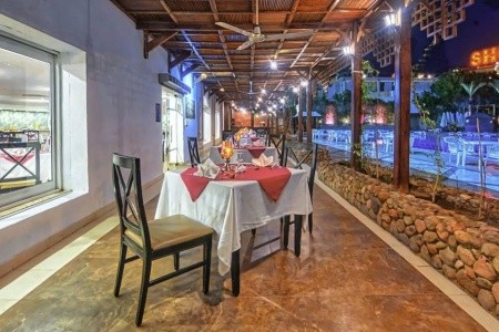 Falcon Naama Star - 7