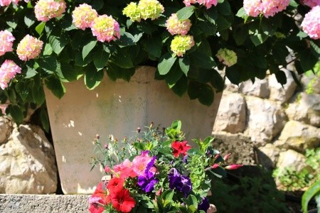 Apartmány 3298-55 - 7