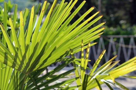 Apartmány 3298-55 - 1