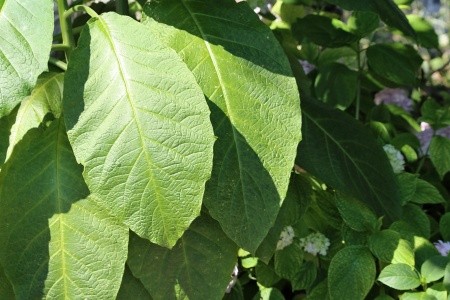 Apartmány 3298-55 - 2