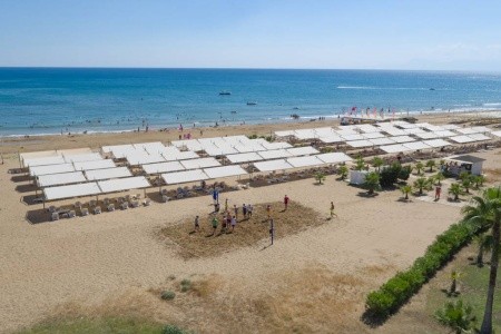 Royal Alhambra Palace - 8