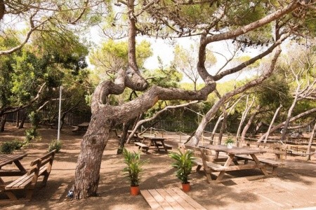 Csa Holiday House Bibbona - 4