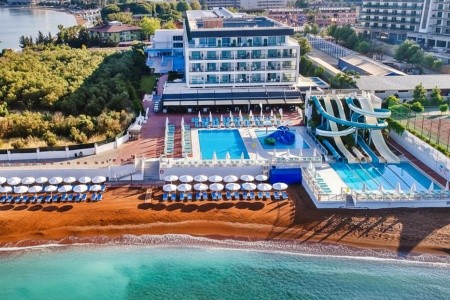 Lonicera West (Ex.gold Island Mondo) - 3