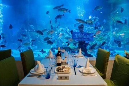 Palace Resort Yalong Bay Sanya - 8