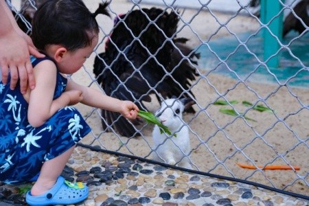 Horizon Resort & Spa - 22