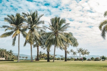 The St. Regis Yalong Bay Resort (Sanya) - 9