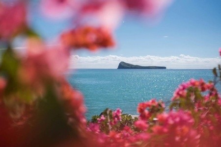 Mystik Life Style - 23