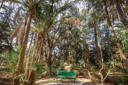 Marhaba Royal Salem - 3