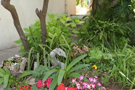 Apartmány 3298-2213 - 14