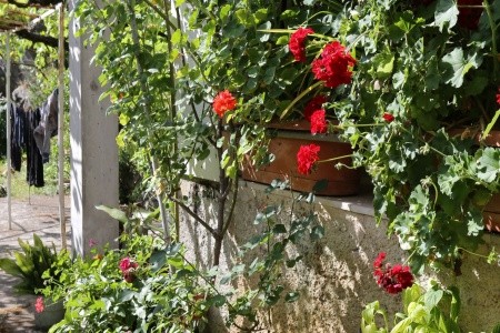 Apartmány 3298-2213 - 15