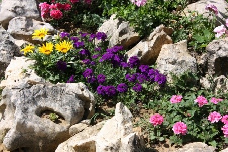 Apartmány 3298-321 - 22