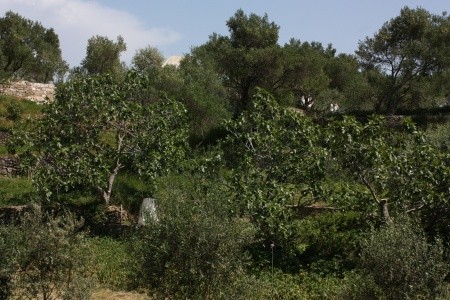 Apartmány 3298-321 - 39