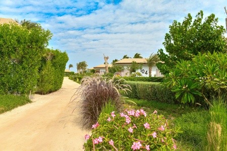 Tawila Island Resort - 12