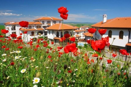 Vineyards Resort & Spa - 27