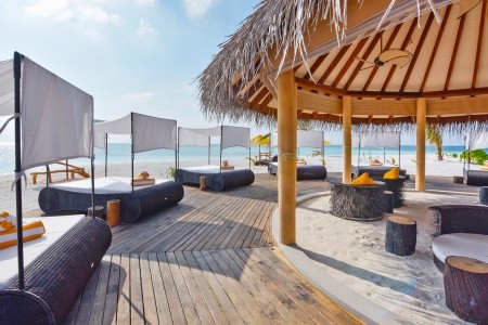 Maldivy  Drift Thelu Veliga Retreat (Theluveligaa) 7 dňový pobyt Plná penzia Letecky Letisko: Praha August 2026 ( 8/08/26-14/08/26)