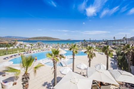 Cocos The Club Solto - 85