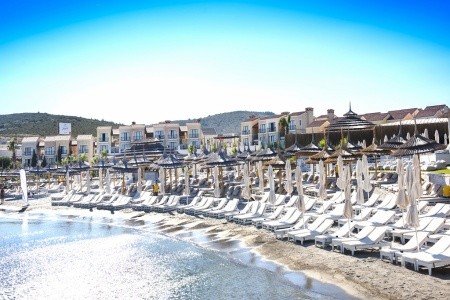 Cocos The Club Solto - 100