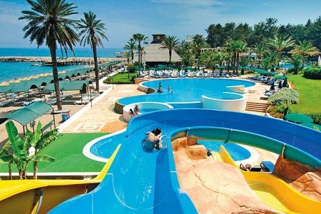 Gypsophila Club Marine - 2