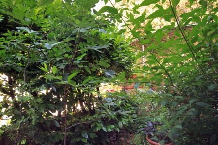 Apartmány 3298-447 - 90