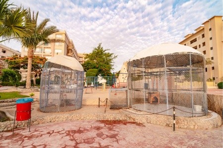 King Tut Aqua Park Beach Resort - 42