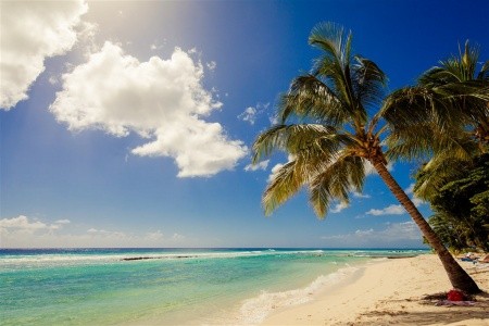 Sugar Bay Barbados - 4