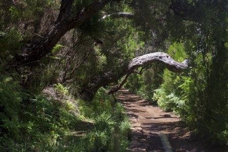 Dorisol Komplex - 66