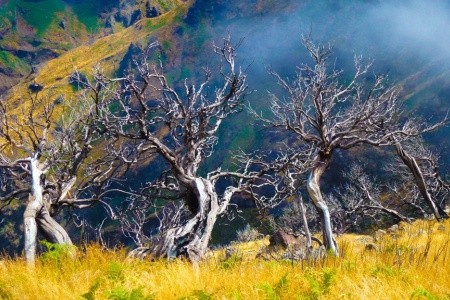 Dorisol Komplex - 92