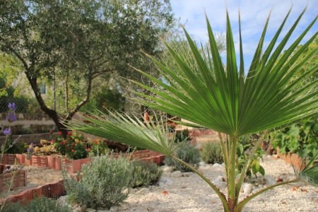 Apartmány 3298-228 - 48