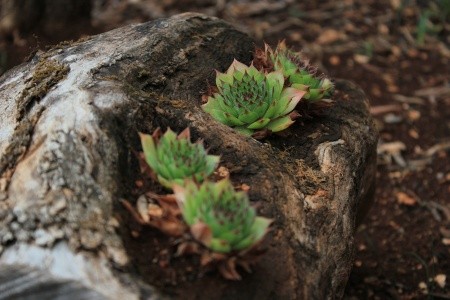 Apartmány 3298-228 - 50