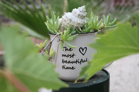 Apartmány 3298-228 - 51