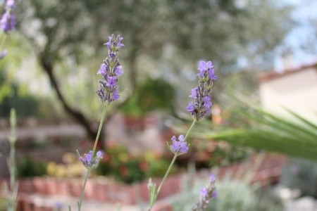 Apartmány 3298-228 - 52