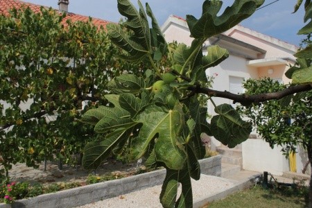 Apartmány 3298-228 - 53