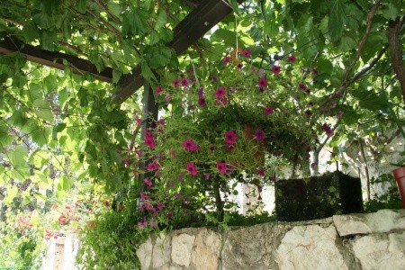 Apartmány 3298-851 - 84