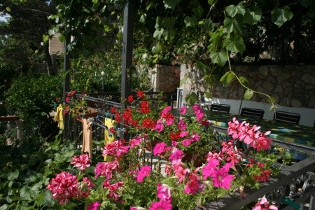 Apartmány 3298-851 - 85