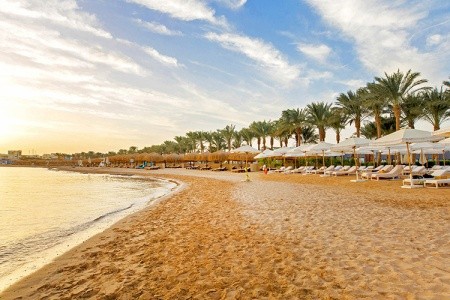 Egypt Hurghada Sunrise Grand Select Tucana Resort 16 dňový pobyt All Inclusive Letecky Letisko: Praha June 2026 (11/06/26-26/06/26)
