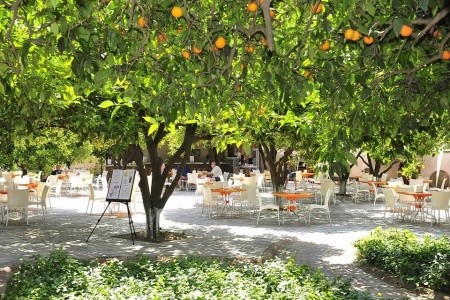 Noxinn Club Hotel (Ex Limoncello Konakli Beach) - 3