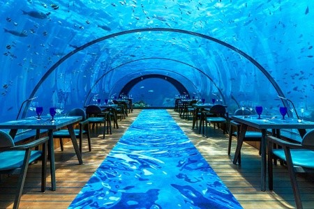 Maldivy Lhaviyani Atol Hurawalhi Resort Maldives 14 dňový pobyt Plná penzia Letecky Letisko: Praha May 2026 (29/05/26-11/06/26)